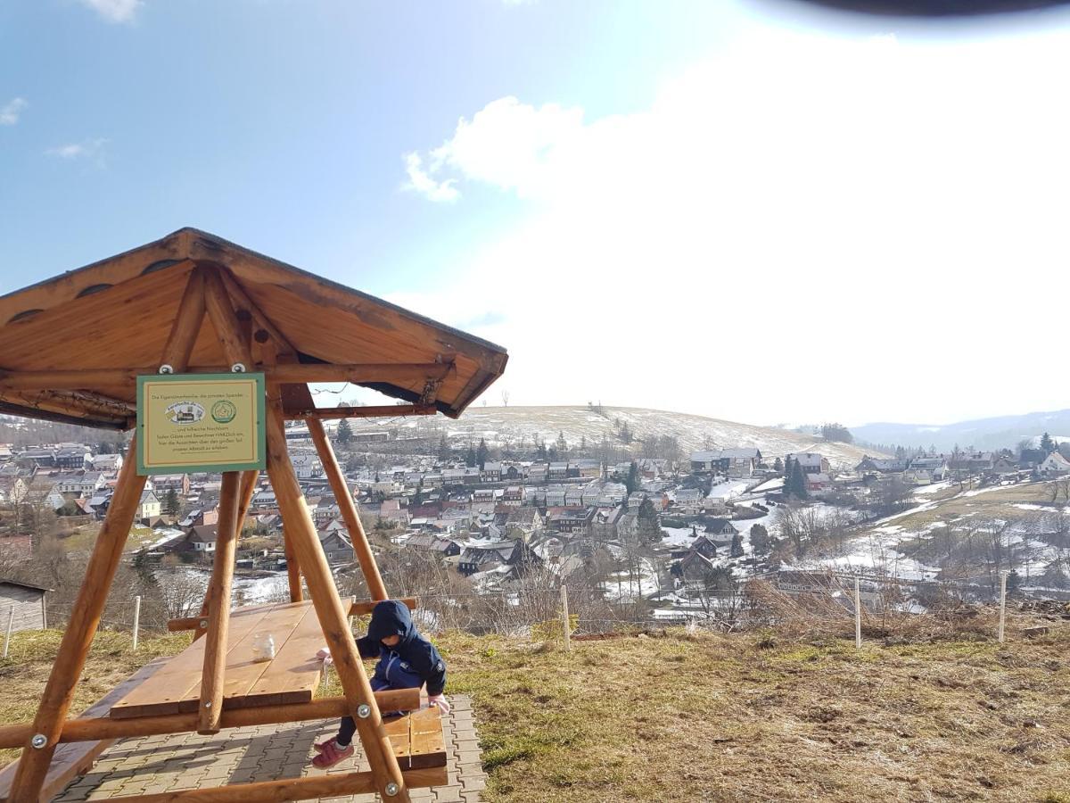 Unik Villa Sankt Andreasberg Luaran gambar
