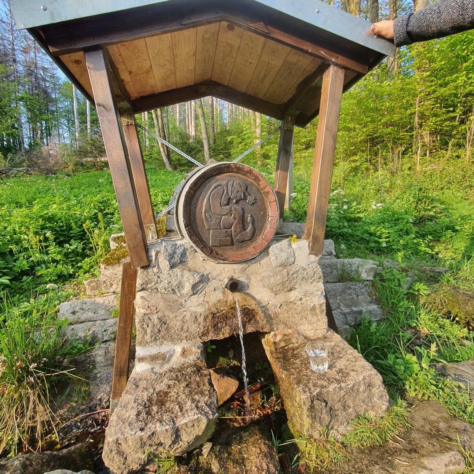 Unik Villa Sankt Andreasberg Luaran gambar